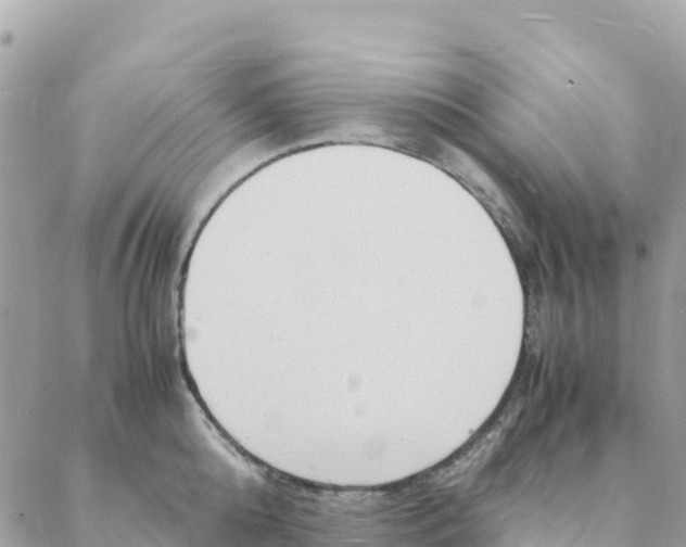 X0000088070808200706011512