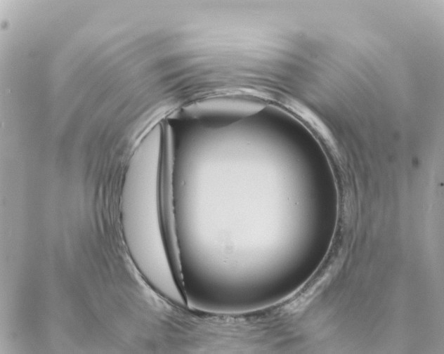 X0000088070809200706011512