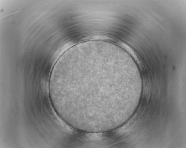 X0000088070810200706011512