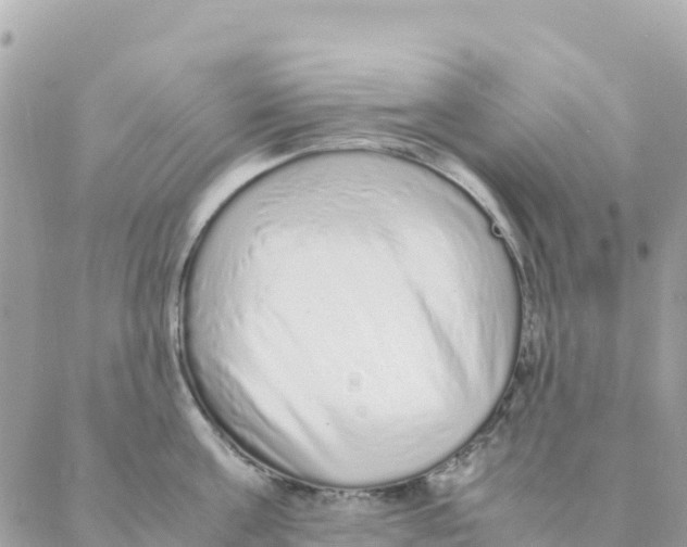 X0000088070811200706011512