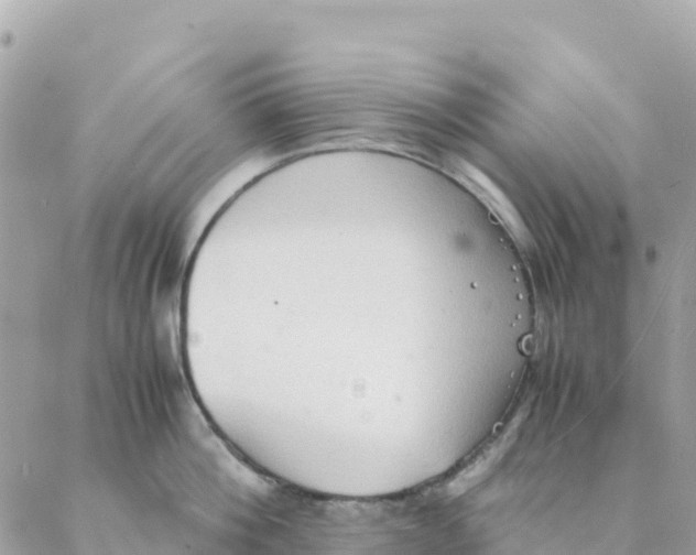 X0000088070812200706011512