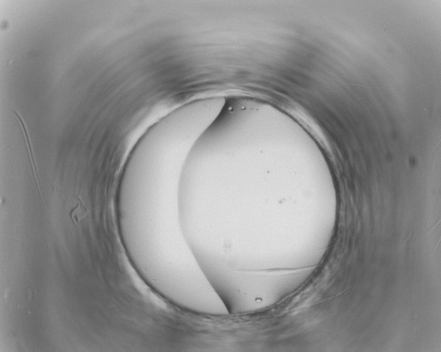 X0000088070813200706011512