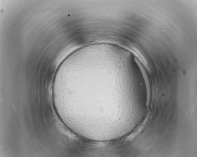 X0000088070814200706011512