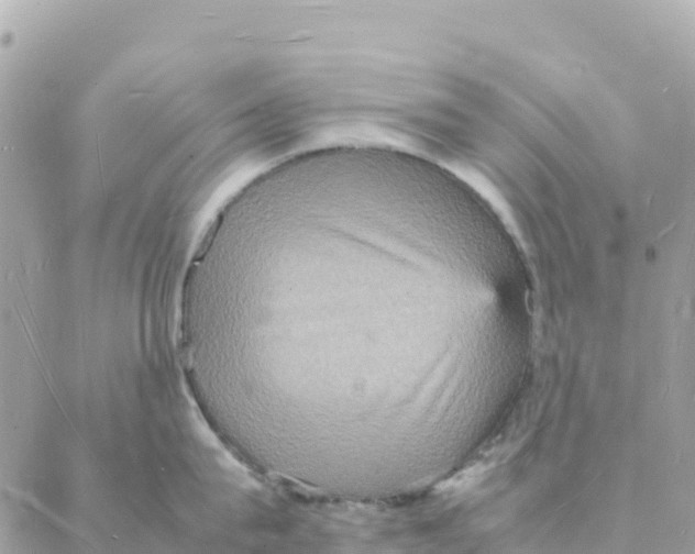 X0000088070815200706011512