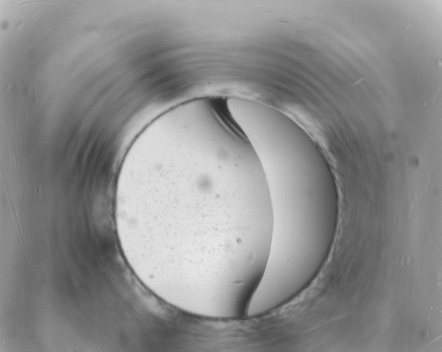 X0000088070816200706011512