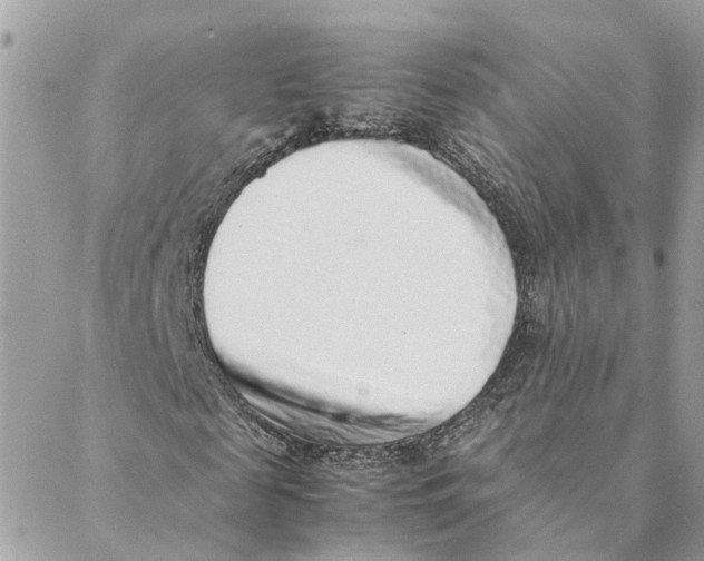 X0000088070817200706011511