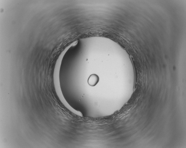 X0000088070818200706011511