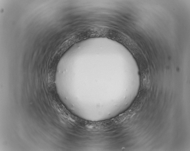 X0000088070819200706011511