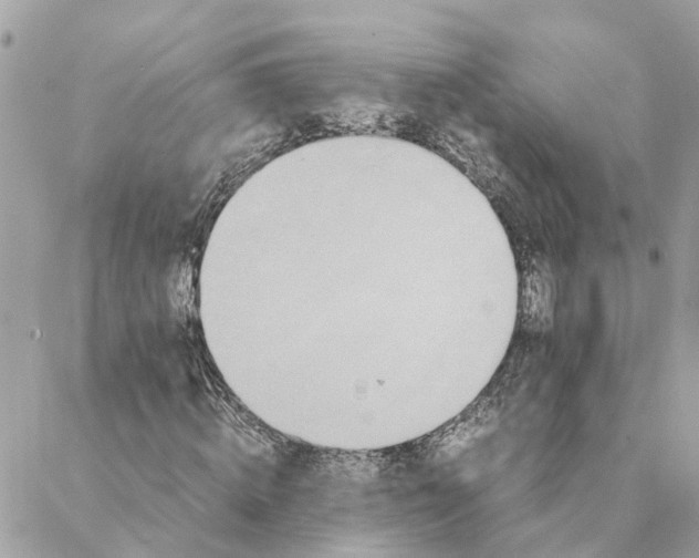 X0000088070820200706011511