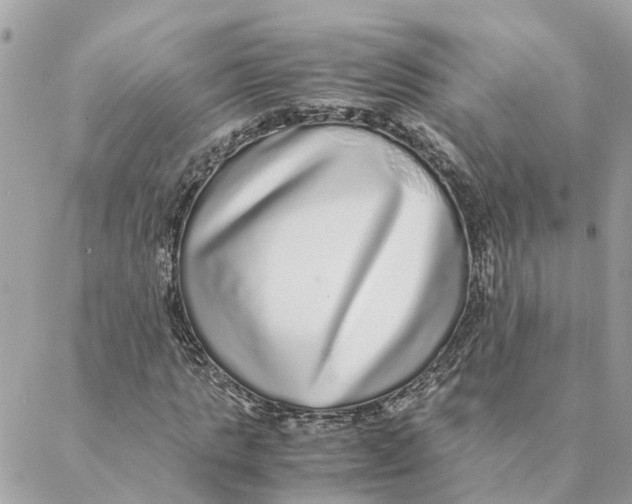 X0000088070821200706011511