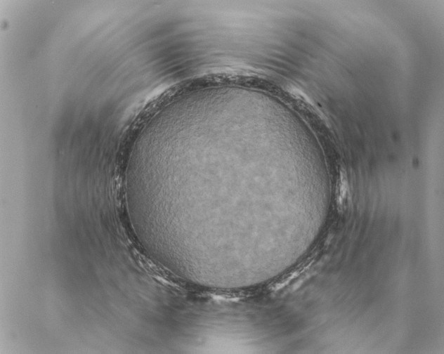 X0000088070822200706011511