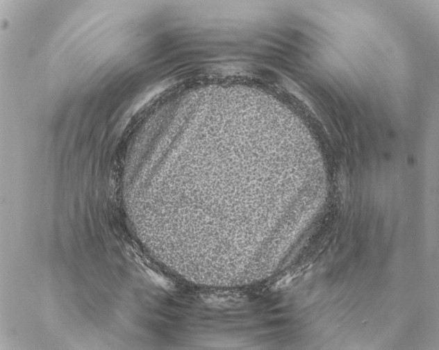 X0000088070823200706011511