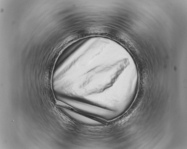 X0000088070825200706011511