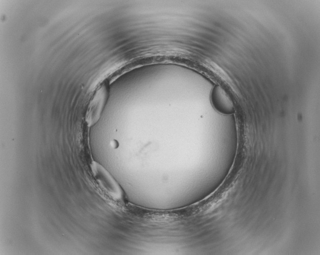 X0000088070826200706011511