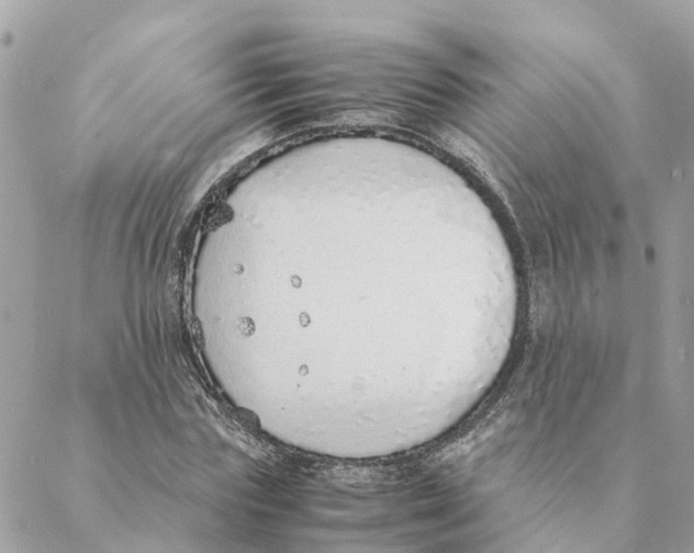 X0000088070827200706011511