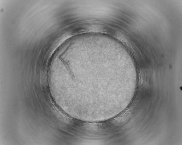 X0000088070828200706011511