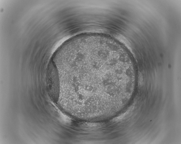 X0000088070829200706011511