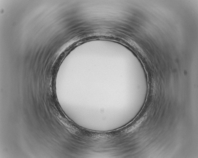 X0000088070830200706011511