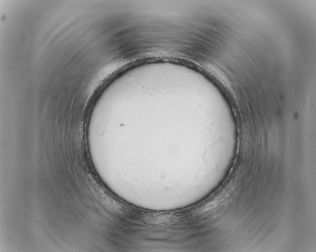 X0000088070831200706011511