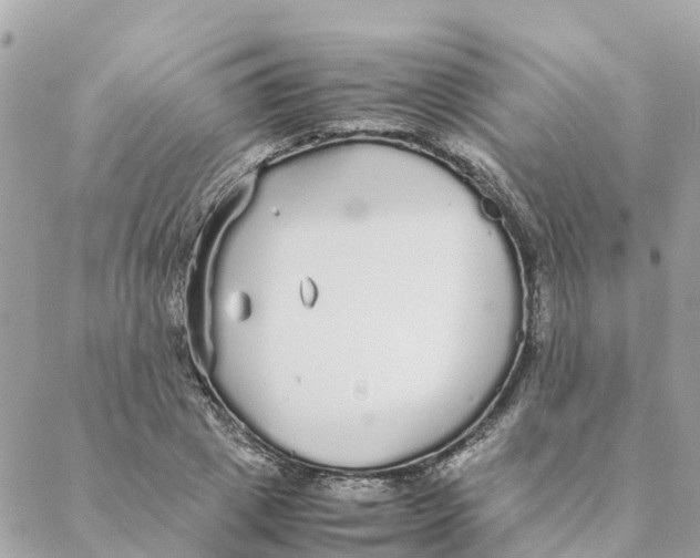 X0000088070833200706011511