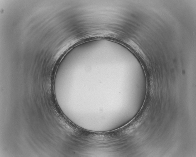 X0000088070834200706011511