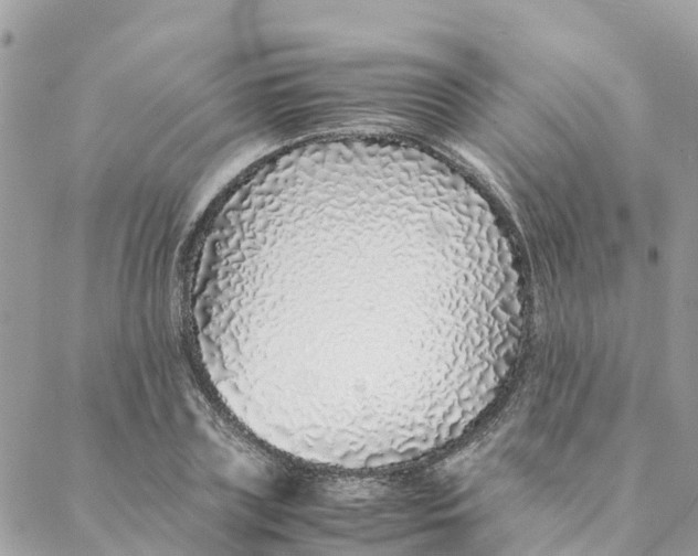 X0000088070835200706011511