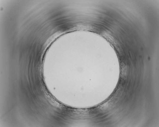 X0000088070836200706011511