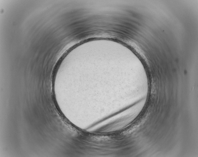 X0000088070837200706011511