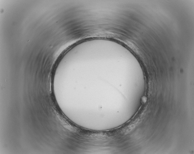 X0000088070838200706011511