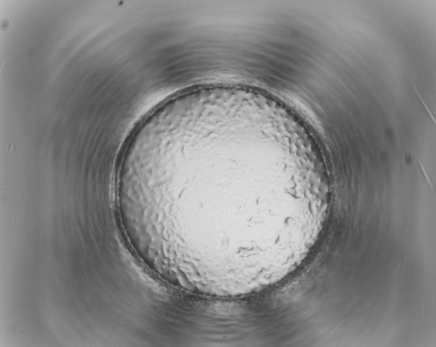 X0000088070839200706011511