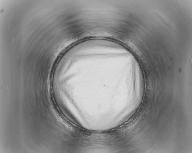 X0000088070840200706011511