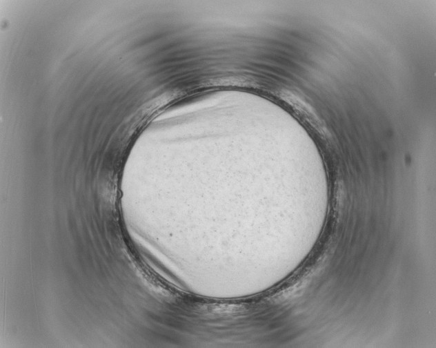 X0000088070841200706011511