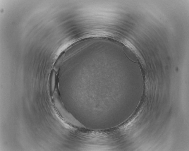 X0000088070842200706011511