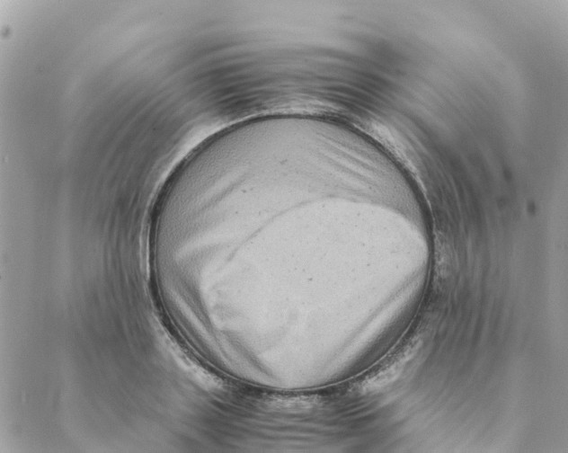 X0000088070843200706011511