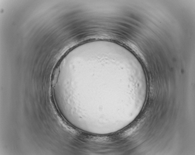 X0000088070845200706011512