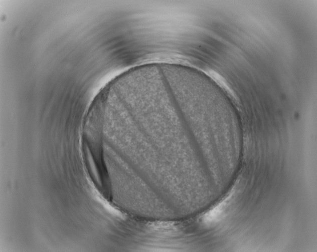 X0000088070846200706011512