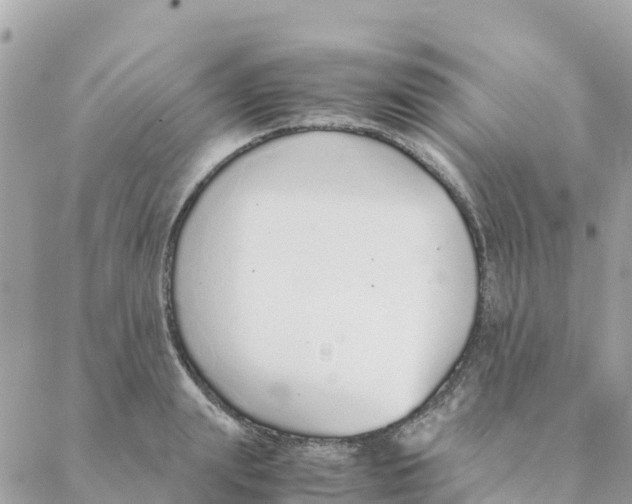 X0000088070847200706011512