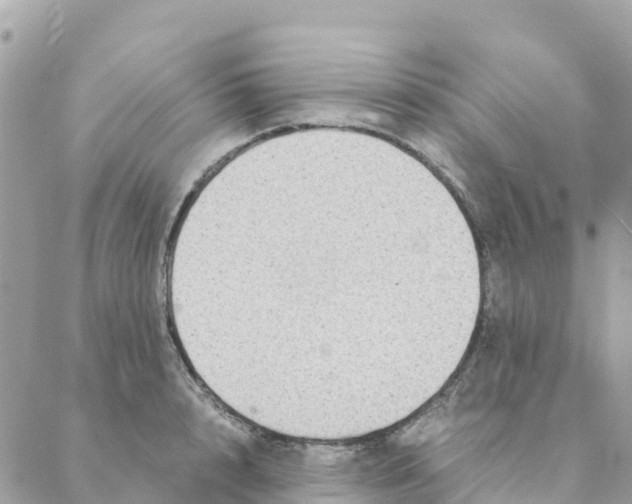 X0000088070848200706011512