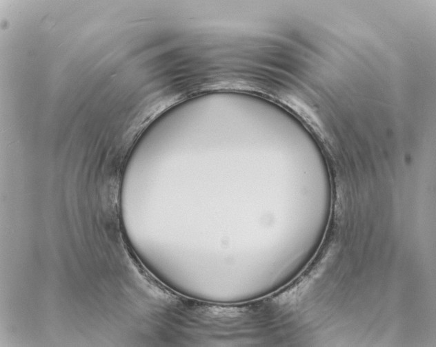 X0000088070849200706011512