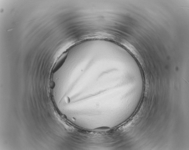 X0000088070850200706011512