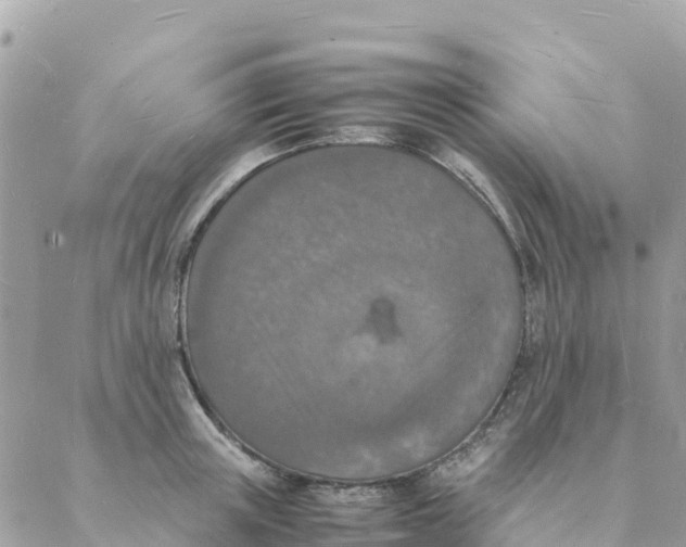 X0000088070851200706011512