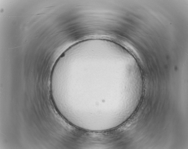 X0000088070852200706011512