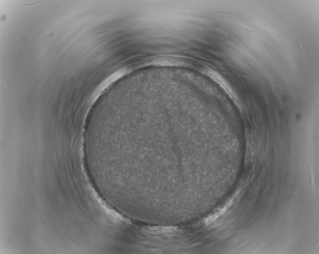 X0000088070853200706011512