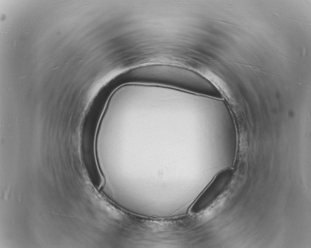 X0000088070854200706011512