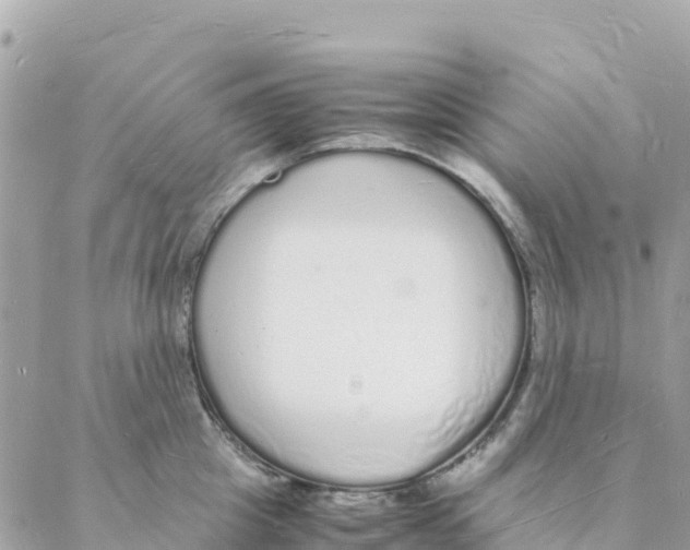 X0000088070857200706011512