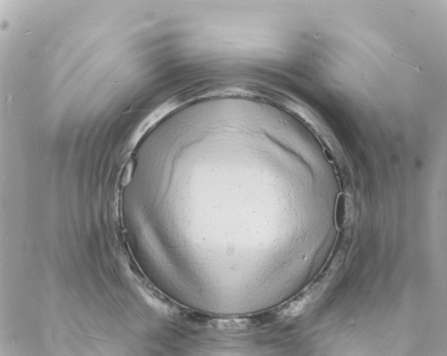 X0000088070858200706011512