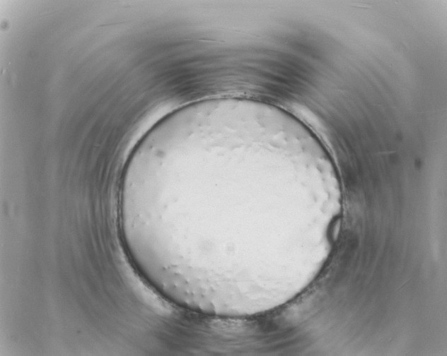 X0000088070859200706011512