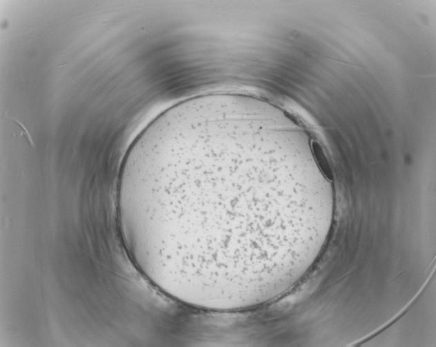 X0000088070860200706011512