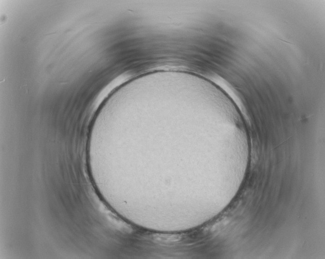 X0000088070861200706011512