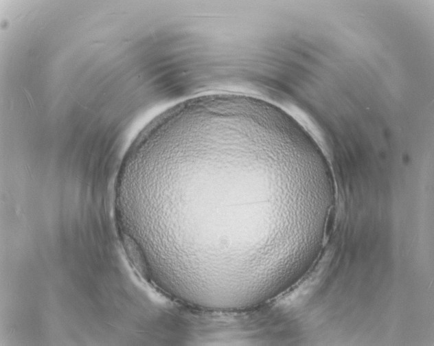 X0000088070862200706011512